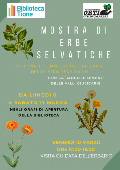 Mostra di erbe selvatiche